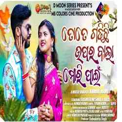 Tote Gadhichi Uparwala Mori Pain